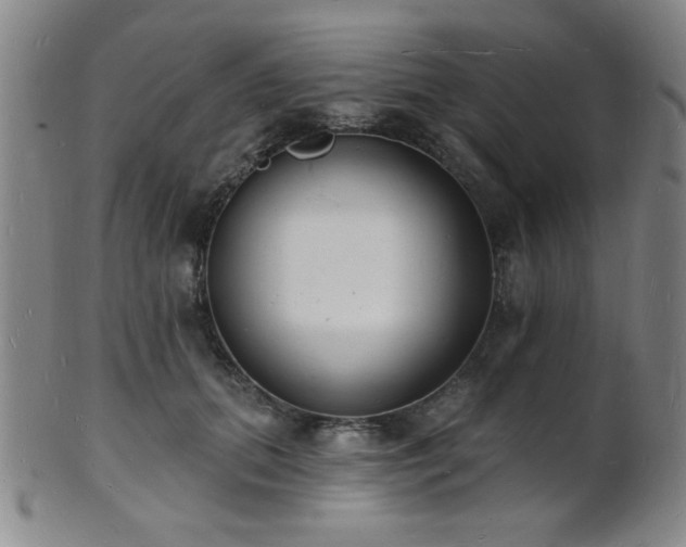 X0000101690655200807101514