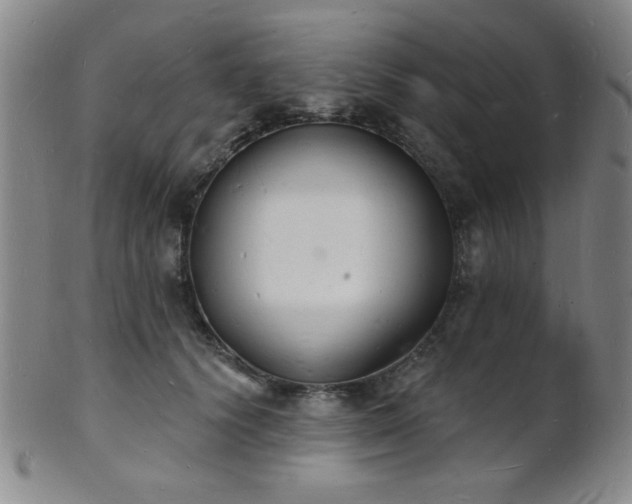 X0000101690656200807101514