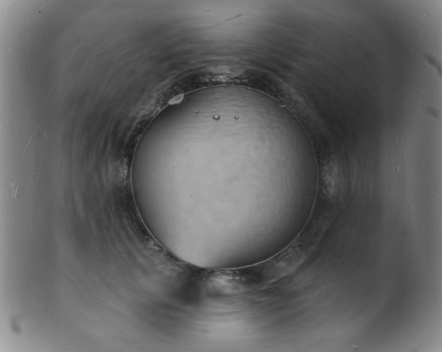 X0000101690657200807101514