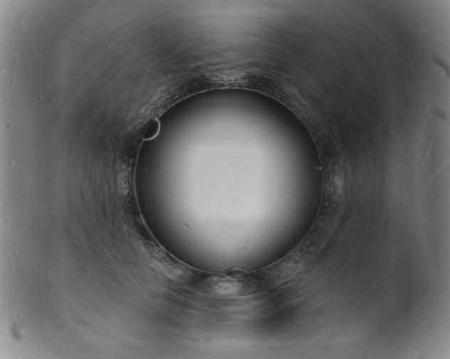 X0000101690658200807101514