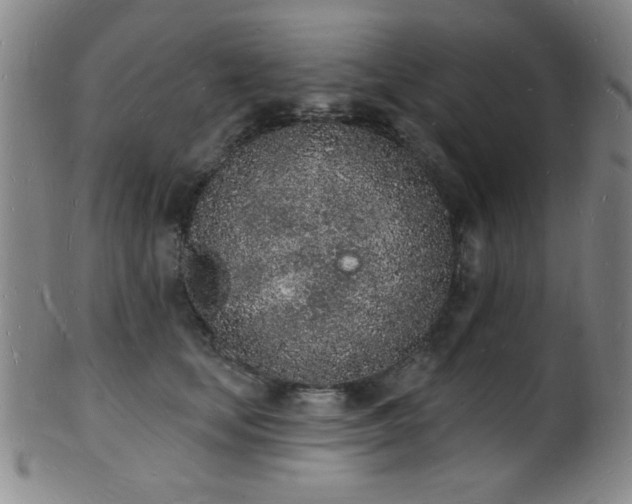 X0000101690659200807101514