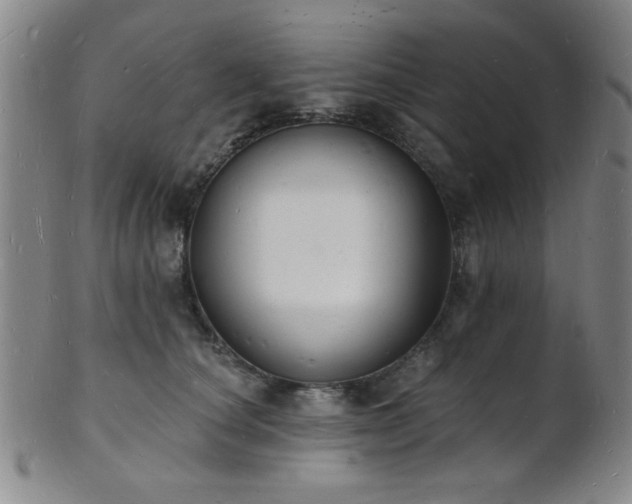 X0000101690660200807101514