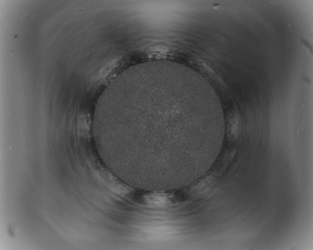 X0000101690661200807101514