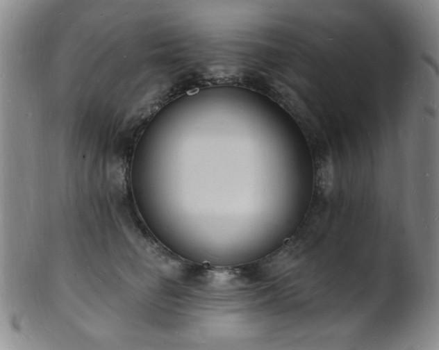 X0000101690662200807101514