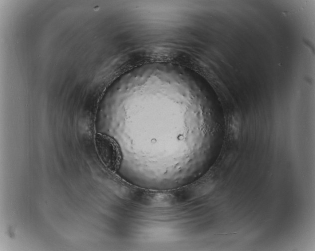 X0000101690663200807101514