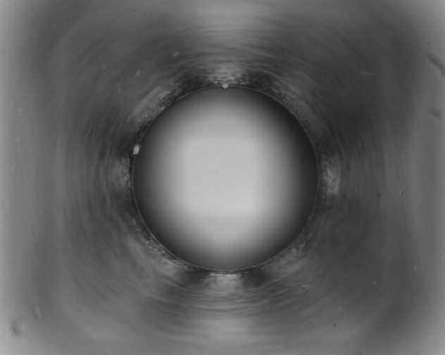 X0000101690665200807101514