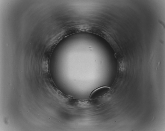 X0000101690666200807101514