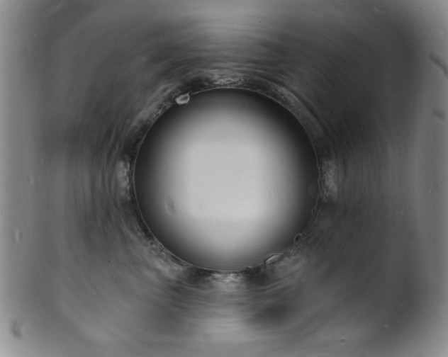 X0000101690667200807101514