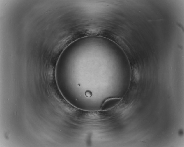 X0000101690668200807101514