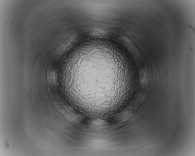 X0000101690669200807101514