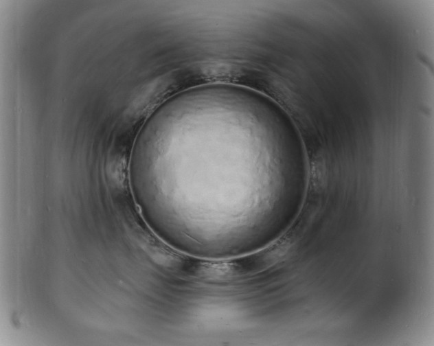 X0000101690671200807101514