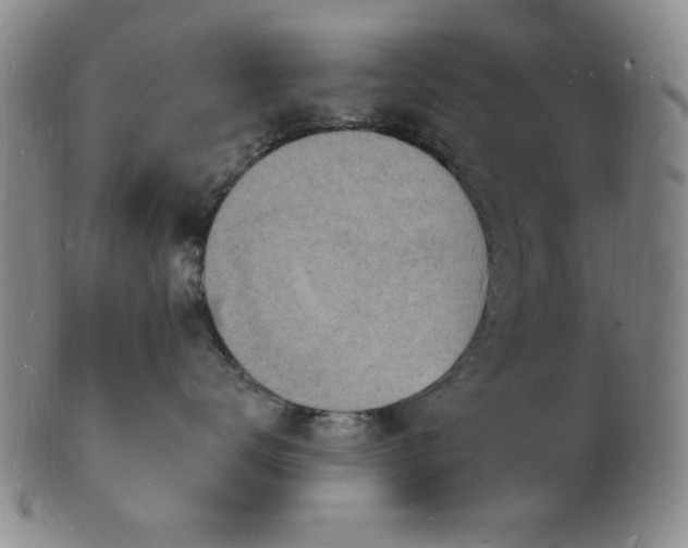 X0000101690672200807101514