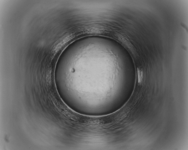 X0000101690675200807101513