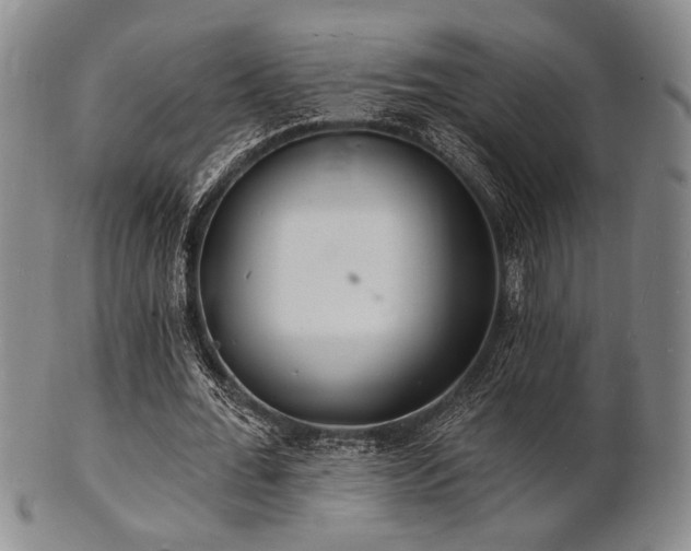 X0000101690676200807101513