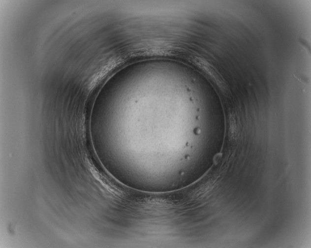 X0000101690677200807101513