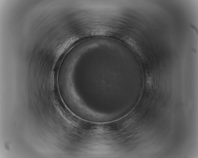 X0000101690678200807101513