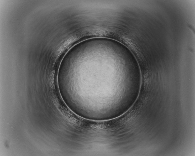 X0000101690679200807101513