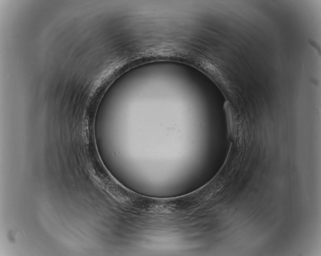 X0000101690680200807101513