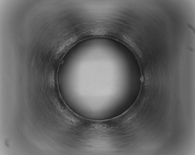 X0000101690681200807101513