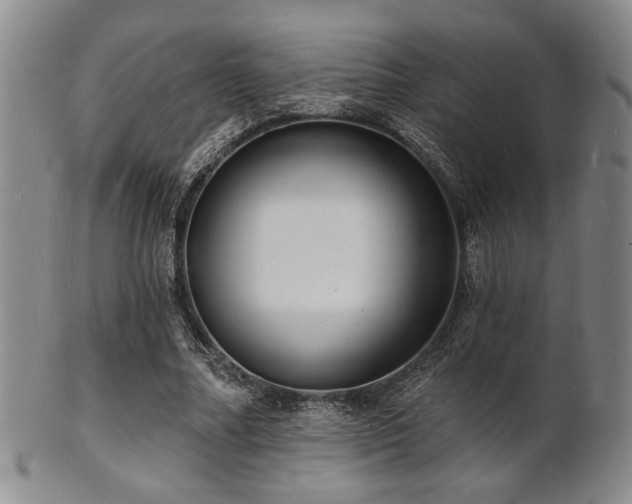 X0000101690682200807101513