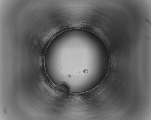 X0000101690683200807101513