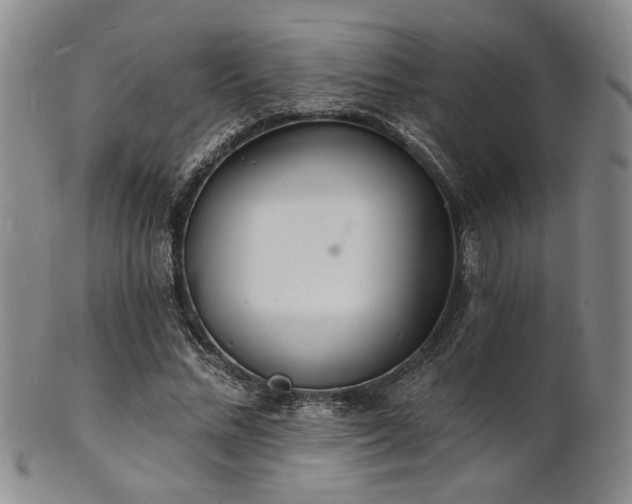 X0000101690684200807101513