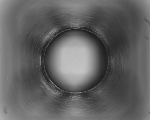 X0000101690686200807101513