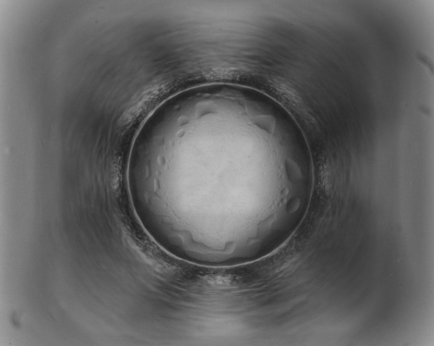 X0000101690687200807101513