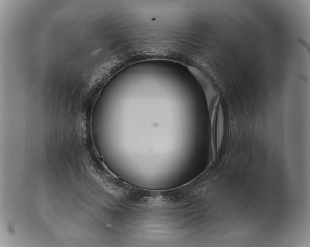 X0000101690688200807101513