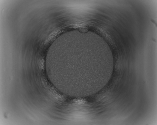 X0000101690689200807101513