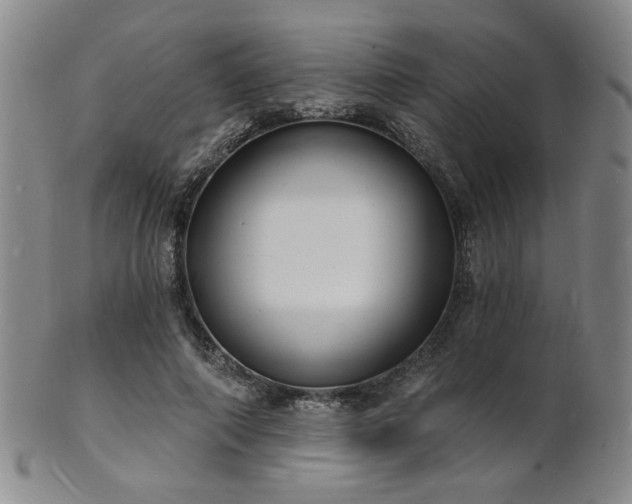 X0000101690690200807101513