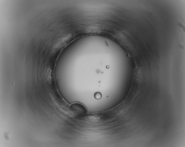 X0000101690692200807101513