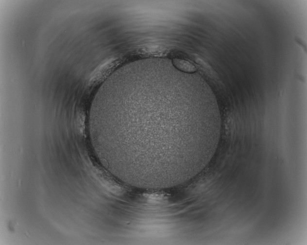 X0000101690693200807101513