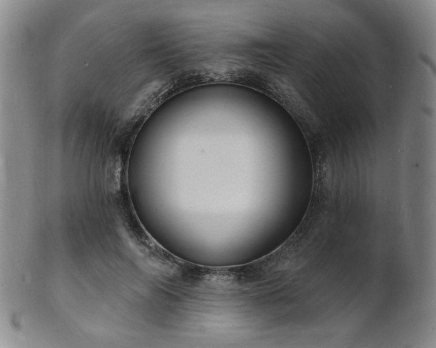 X0000101690694200807101513