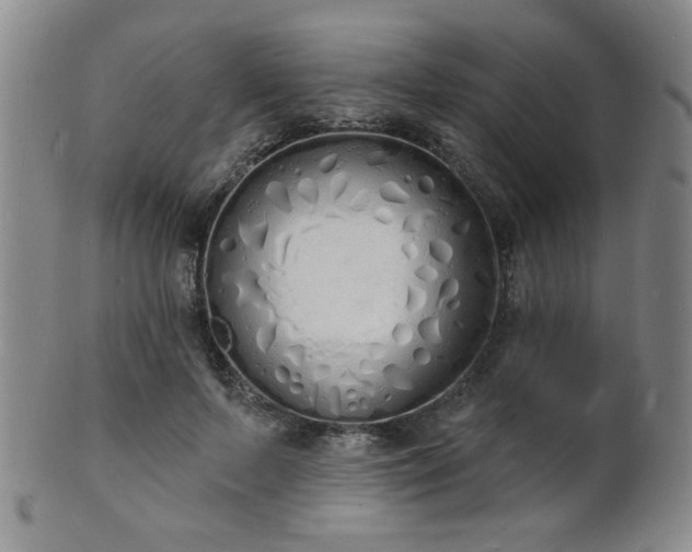 X0000101690695200807101513