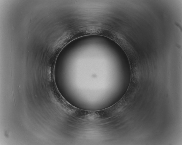 X0000101690696200807101513