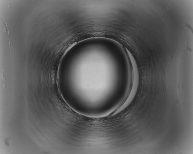 X0000101690697200807101513