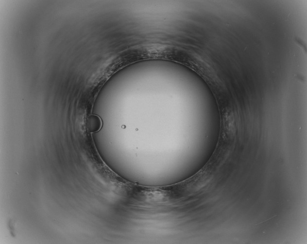 X0000101690698200807101513