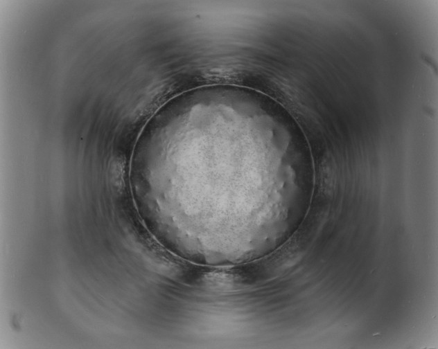 X0000101690699200807101513