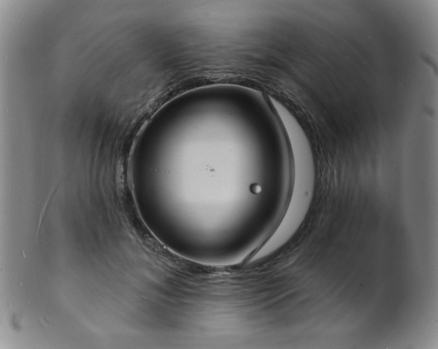 X0000101690700200807101513