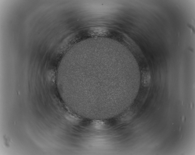 X0000101690701200807101513