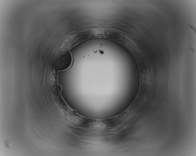 X0000101690702200807101513