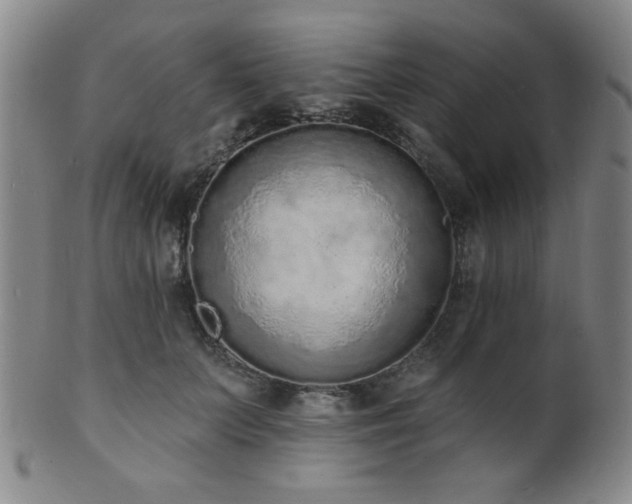 X0000101690703200807101513