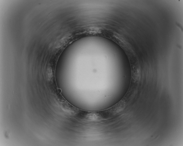 X0000101690704200807101513