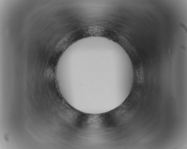 X0000101690705200807101513