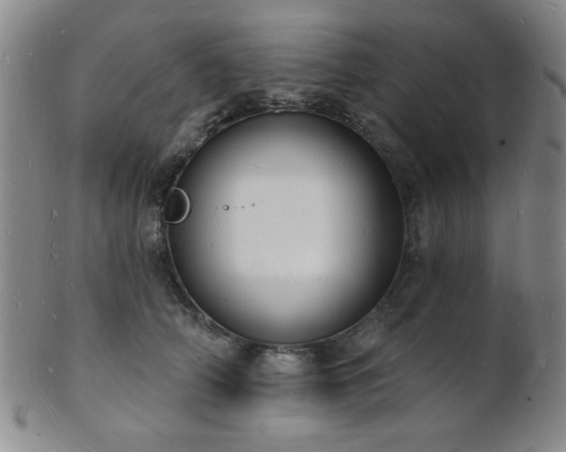 X0000101690706200807101513