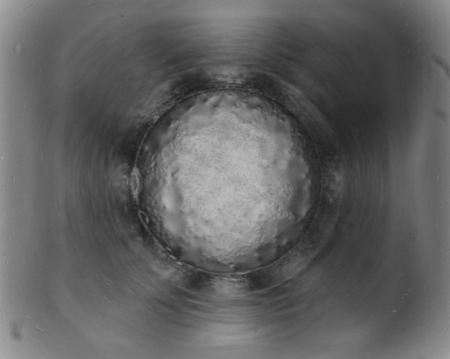 X0000101690707200807101513