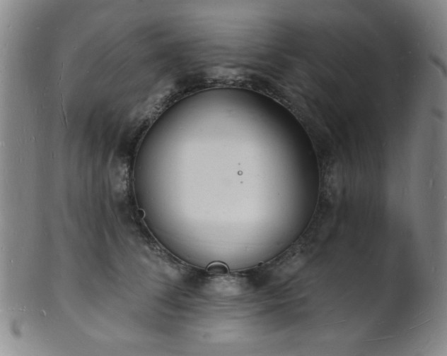 X0000101690708200807101513