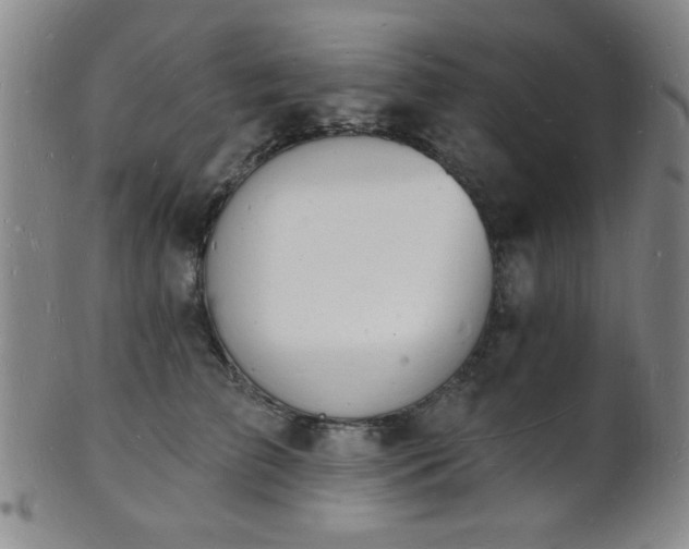 X0000101690709200807101513