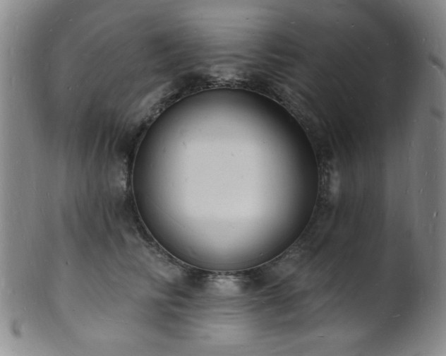 X0000101690710200807101513